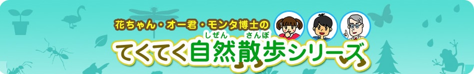 花ちゃん・オー君・モンタ博士のてくてく自然散歩シリーズ 