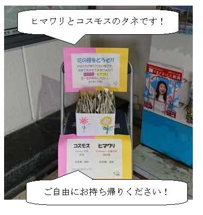 写真3