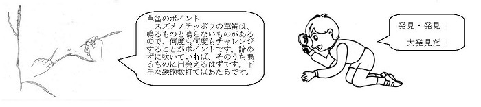 草笛のポイント