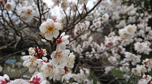 写真2