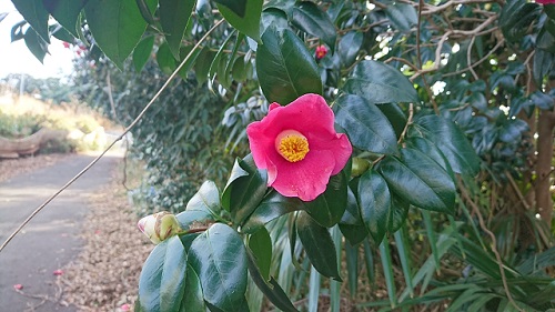 写真3