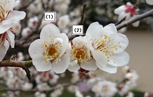 写真4