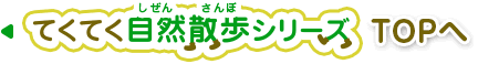 てくてく自然散歩シリーズ